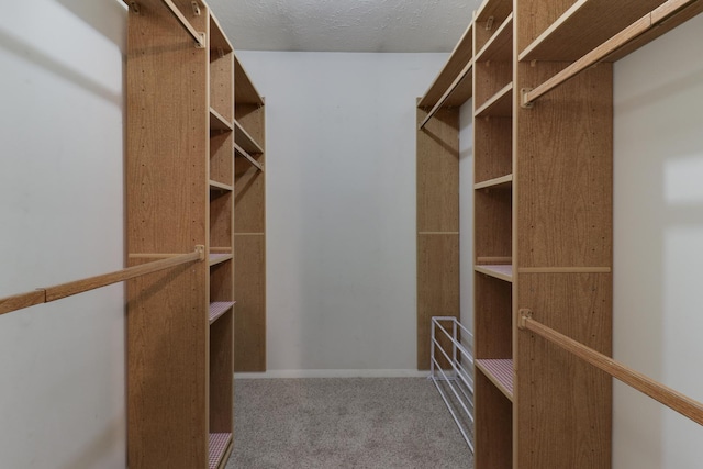 walk in closet with carpet
