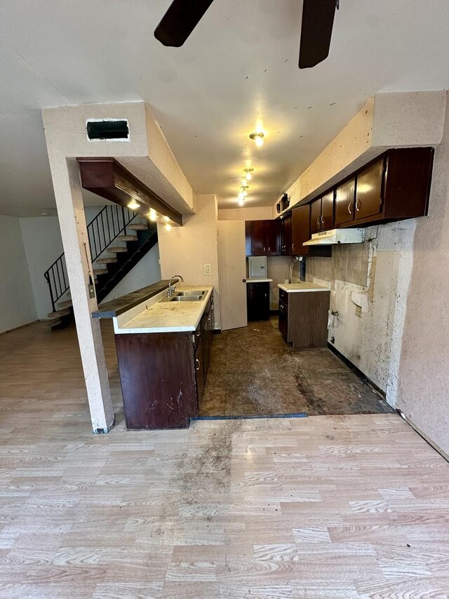 kitchen with light wood-type flooring, a sink, a ceiling fan, and dark brown cabinets
