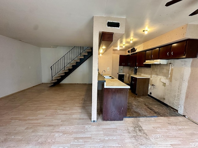 kitchen with light wood-style floors, dark brown cabinets, a ceiling fan, under cabinet range hood, and a sink