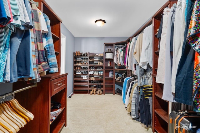 walk in closet featuring carpet floors