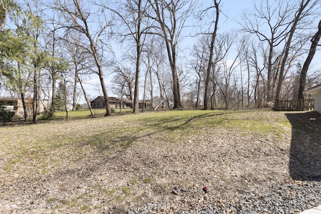 view of yard