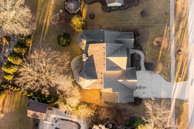 bird's eye view