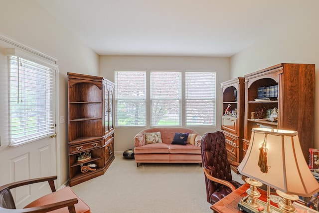 108 W Essington Dr Unit 108, Round Lake, IL 60073 - interior space with carpet floors