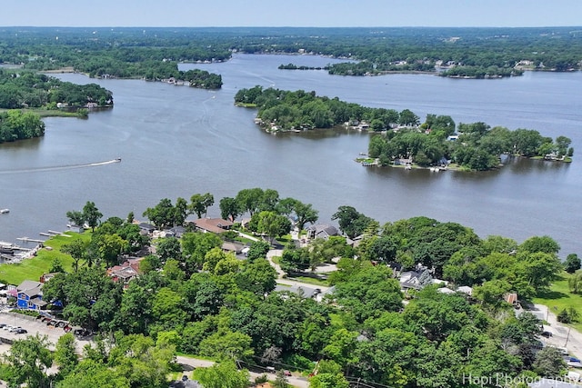 95 Hillside Ct, Fox Lake, IL 60020 - bird's eye view with a water view