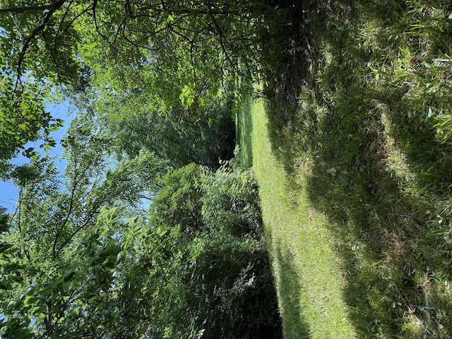 LOT63AND78 Cobble Creek Ln, Heyworth, IL 61745 - photo 3