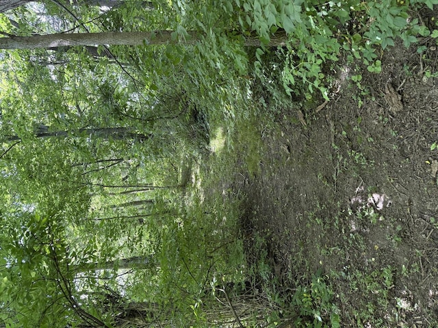 LOT63AND78 Cobble Creek Ln, Heyworth, IL 61745 - photo 5