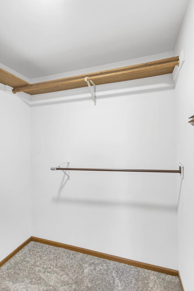 spacious closet with carpet
