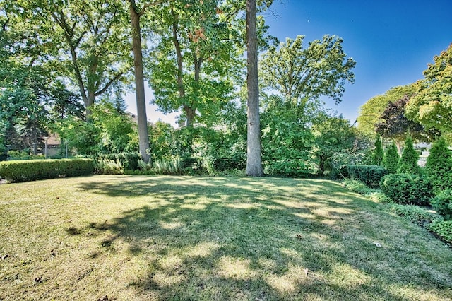 6776 N Laporte Ave, Lincolnwood, IL 60712 - view of grassy yard