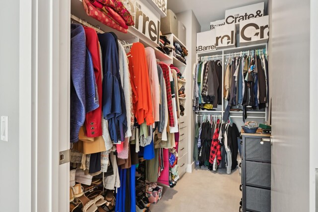 1701 W Webster Ave Unit 512, Chicago, IL 60614 - spacious closet with carpet flooring