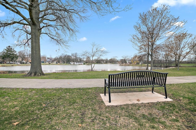 610 E Lemoyne Ave, Lombard, IL 60148 - view of community with a water view and a lawn