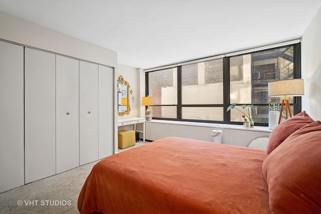 222 E Pearson St Unit 409, Chicago, IL 60611 - bedroom with carpet floors and a closet