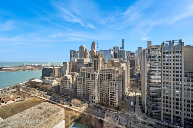222 E Pearson St Unit 409, Chicago, IL 60611 - property's view of city with a water view