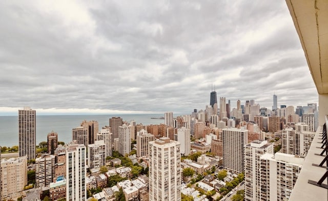 1560 N Sandburg Ter Unit 1011J, Chicago, IL 60610 - city view featuring a water view