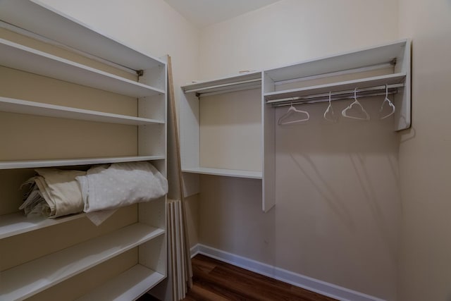 spacious closet with dark wood-style floors
