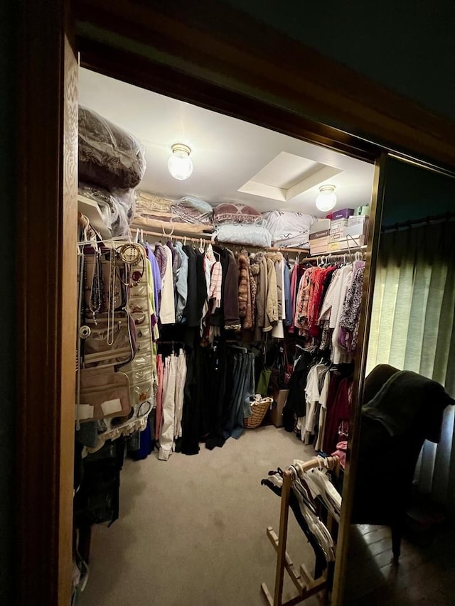 38W715 Bonnie Ct, Saint Charles, IL 60175 - spacious closet with carpet