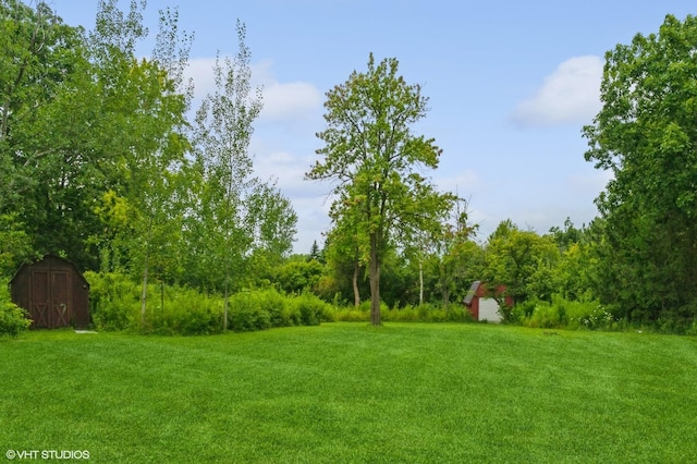 view of yard featuring a storage shed and an outbuilding