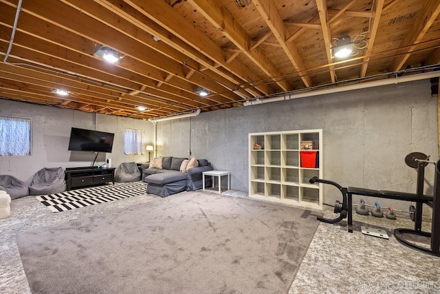 living room featuring carpet flooring