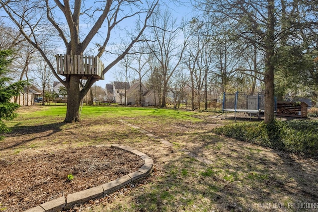 view of yard featuring a trampoline