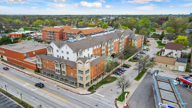 bird's eye view