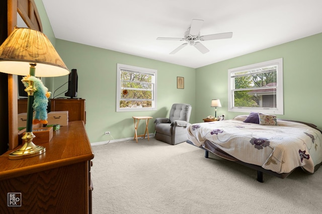 632 Columbine Ave, Lisle, IL 60532 - carpeted bedroom featuring multiple windows, baseboards, and ceiling fan