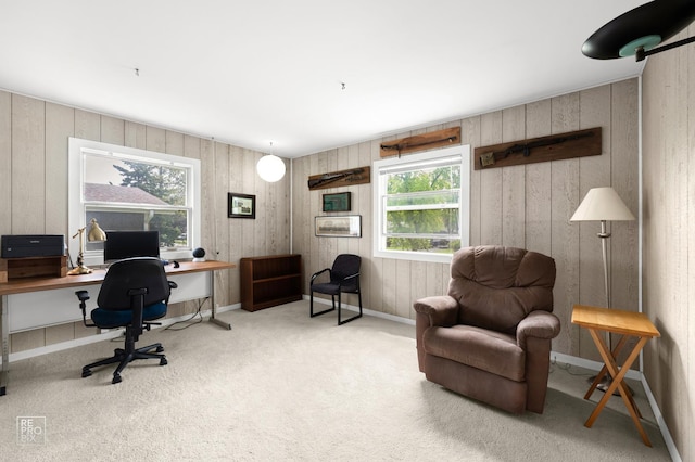 632 Columbine Ave, Lisle, IL 60532 - carpeted office with healthy amount of natural light, wood walls, and baseboards