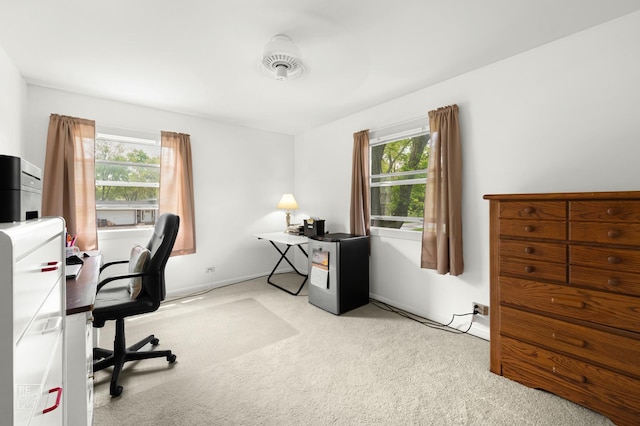 632 Columbine Ave, Lisle, IL 60532 - carpeted office space featuring plenty of natural light