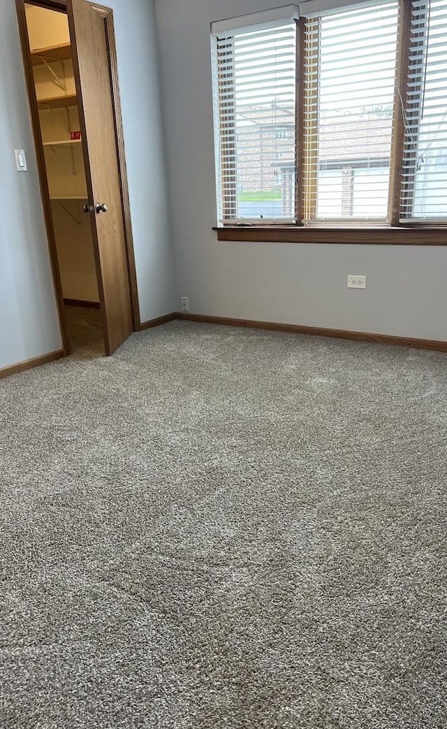 empty room featuring carpet, baseboards, and plenty of natural light