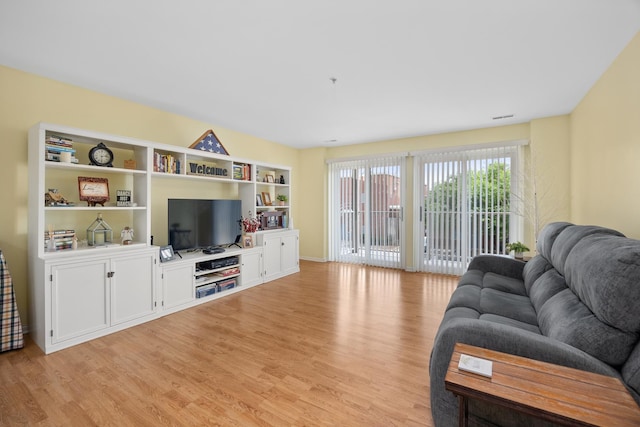 17 E Hattendorf Ave Unit 205, Roselle, IL 60172 - living room with light wood-style floors