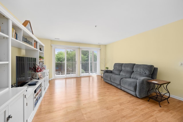 17 E Hattendorf Ave Unit 205, Roselle, IL 60172 - living room with light wood-type flooring