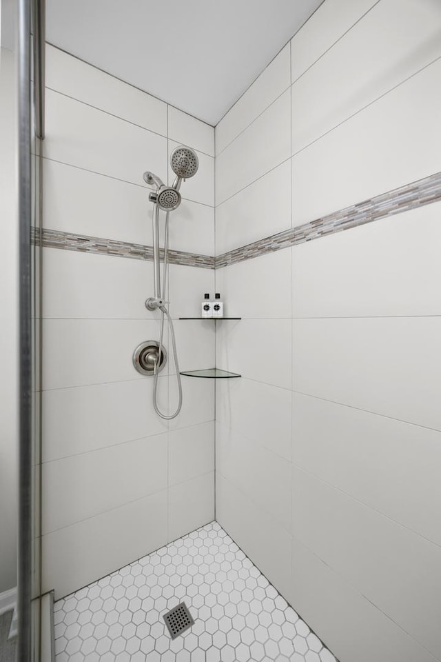 17 E Hattendorf Ave Unit 205, Roselle, IL 60172 - full bathroom with tiled shower