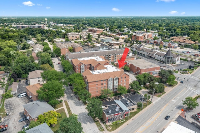 17 E Hattendorf Ave Unit 205, Roselle, IL 60172 - aerial view