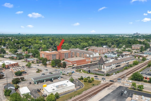 17 E Hattendorf Ave Unit 205, Roselle, IL 60172 - bird's eye view