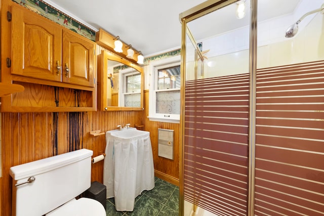 203 High St, West Chicago, IL 60185 - bathroom with toilet, a shower with door, and wooden walls