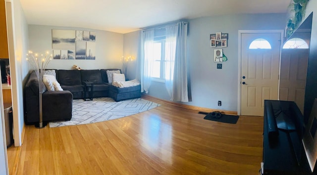 living room featuring wood finished floors