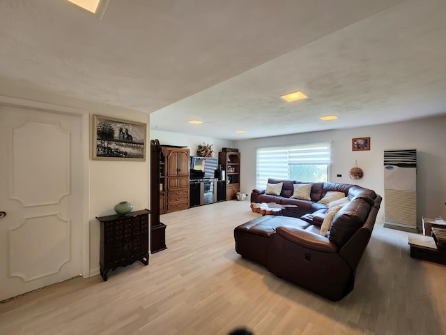 living room with light wood-type flooring