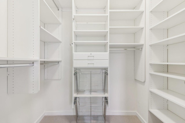 view of walk in closet