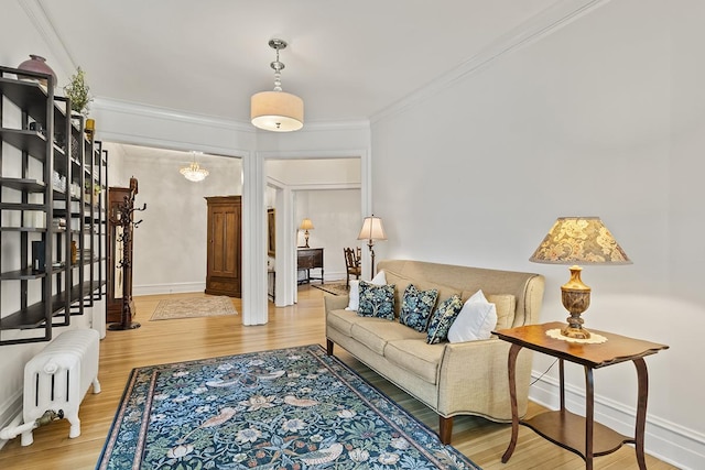 670 W Irving Park Rd Unit G6, Chicago, IL 60613 - living area featuring radiator, crown molding, wood finished floors, and baseboards