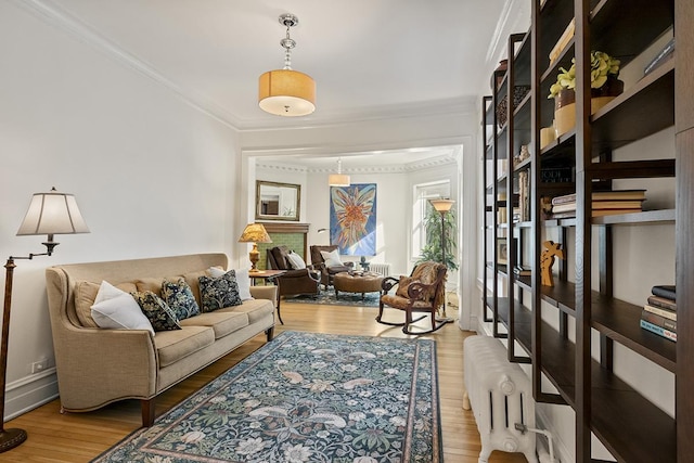 living area featuring wood finished floors and ornamental molding