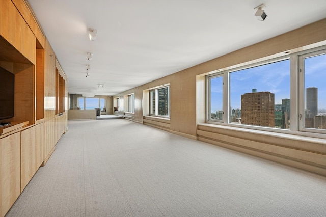 spare room with light colored carpet