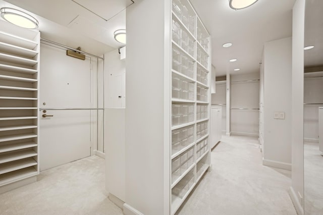 spacious closet featuring carpet floors