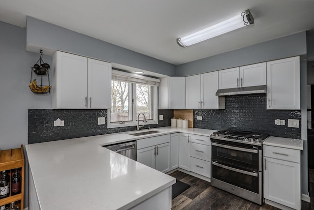 kitchen with appliances with stainless steel finishes, a sink, light countertops, a peninsula, and under cabinet range hood