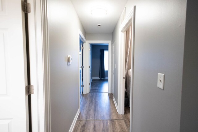 9132 Clairmont Ct Unit 113, Orland Park, IL 60462 - corridor featuring baseboards and wood finished floors