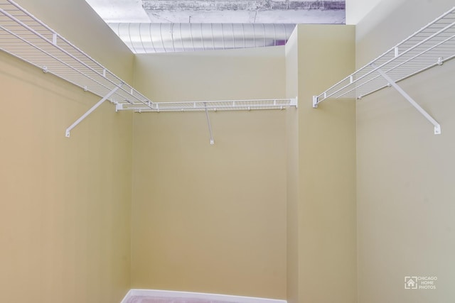 view of spacious closet
