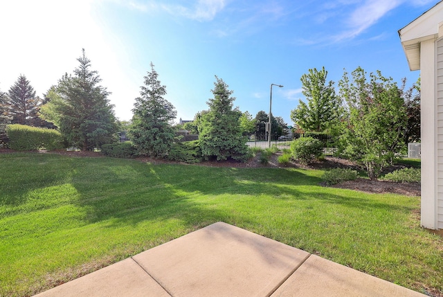 4118 Calder Ln, Aurora, IL 60504 - view of green lawn with a patio