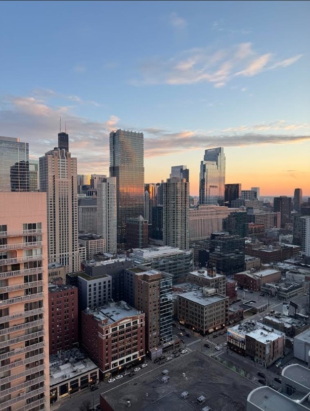 33 W Ontario St Unit 40D, Chicago, IL 60654 - view of city