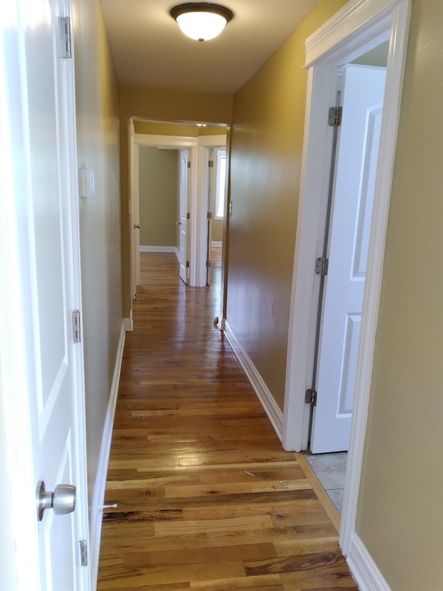 1516 S Christiana Ave, Chicago, IL 60623 - photo 2