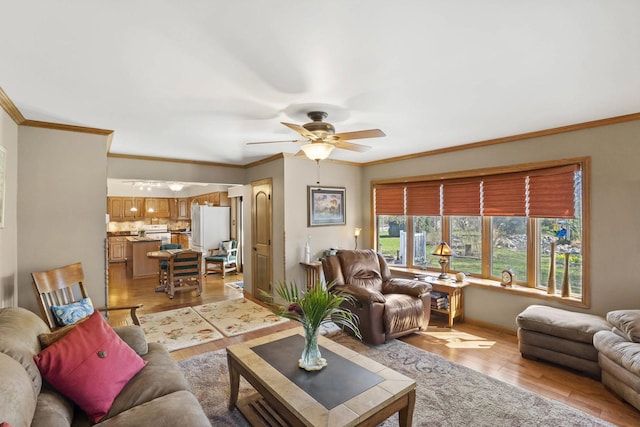 living area featuring light wood-style floors, ceiling fan, baseboards, and ornamental molding