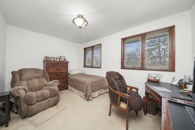 bedroom with light carpet