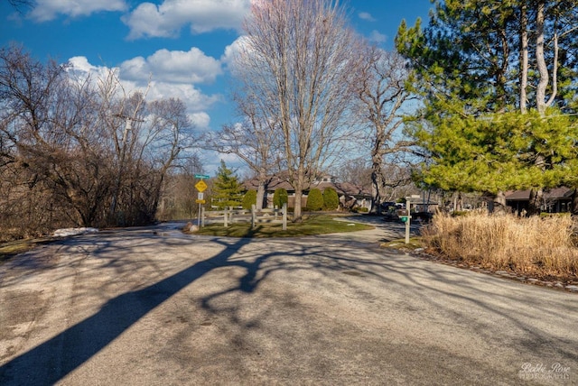208 Brookdale Ln, Palatine, IL 60067 - view of road featuring traffic signs