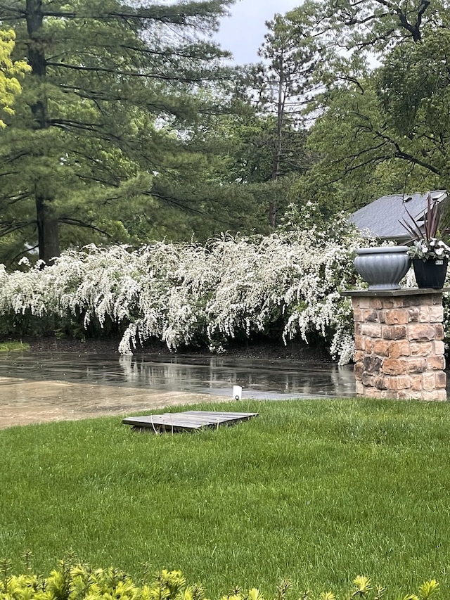 208 Brookdale Ln, Palatine, IL 60067 - view of green lawn featuring a water view